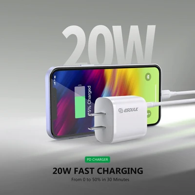 20W Wall Adapter Power Delivery