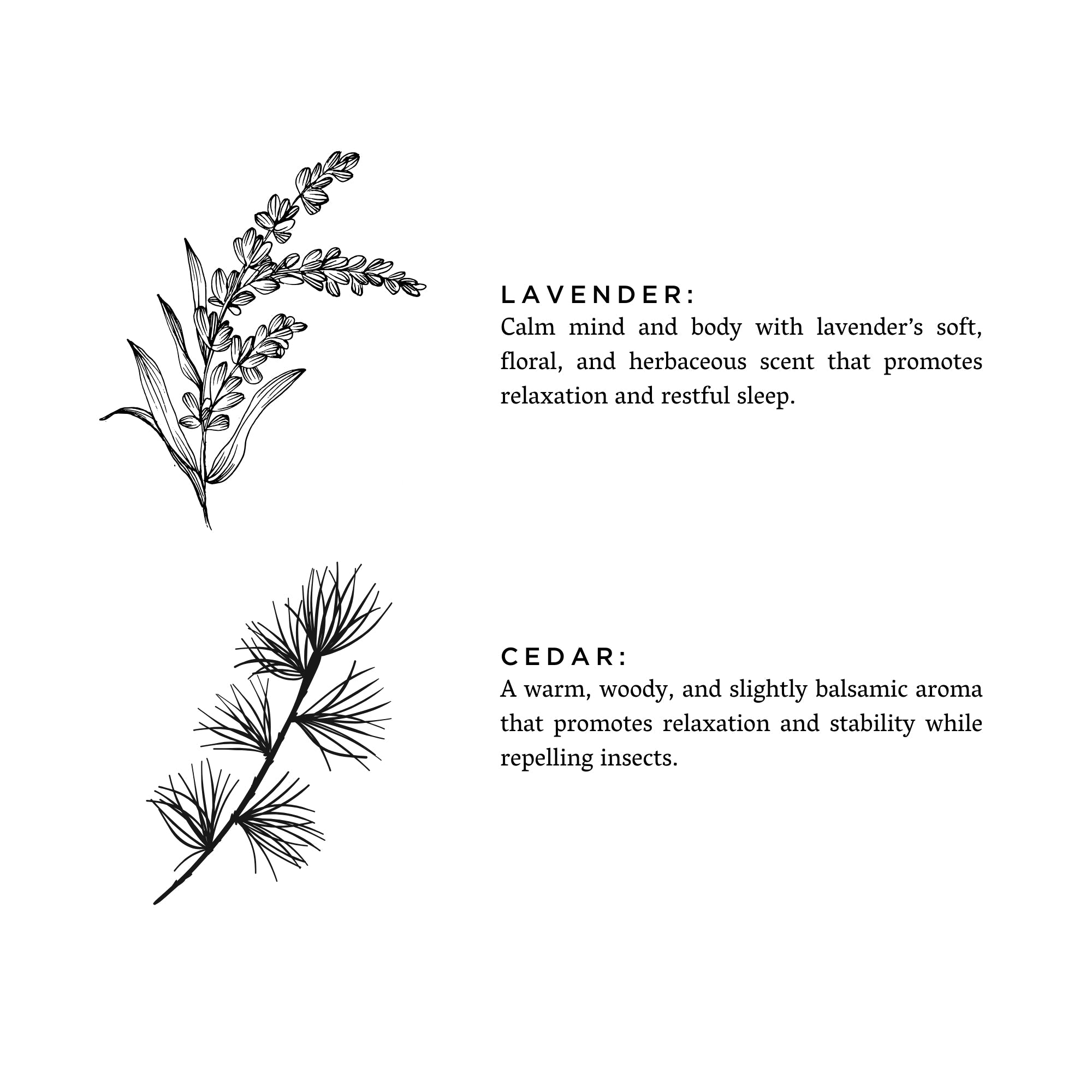 Lavender + Cedar Sachet Pouch - Lagoon