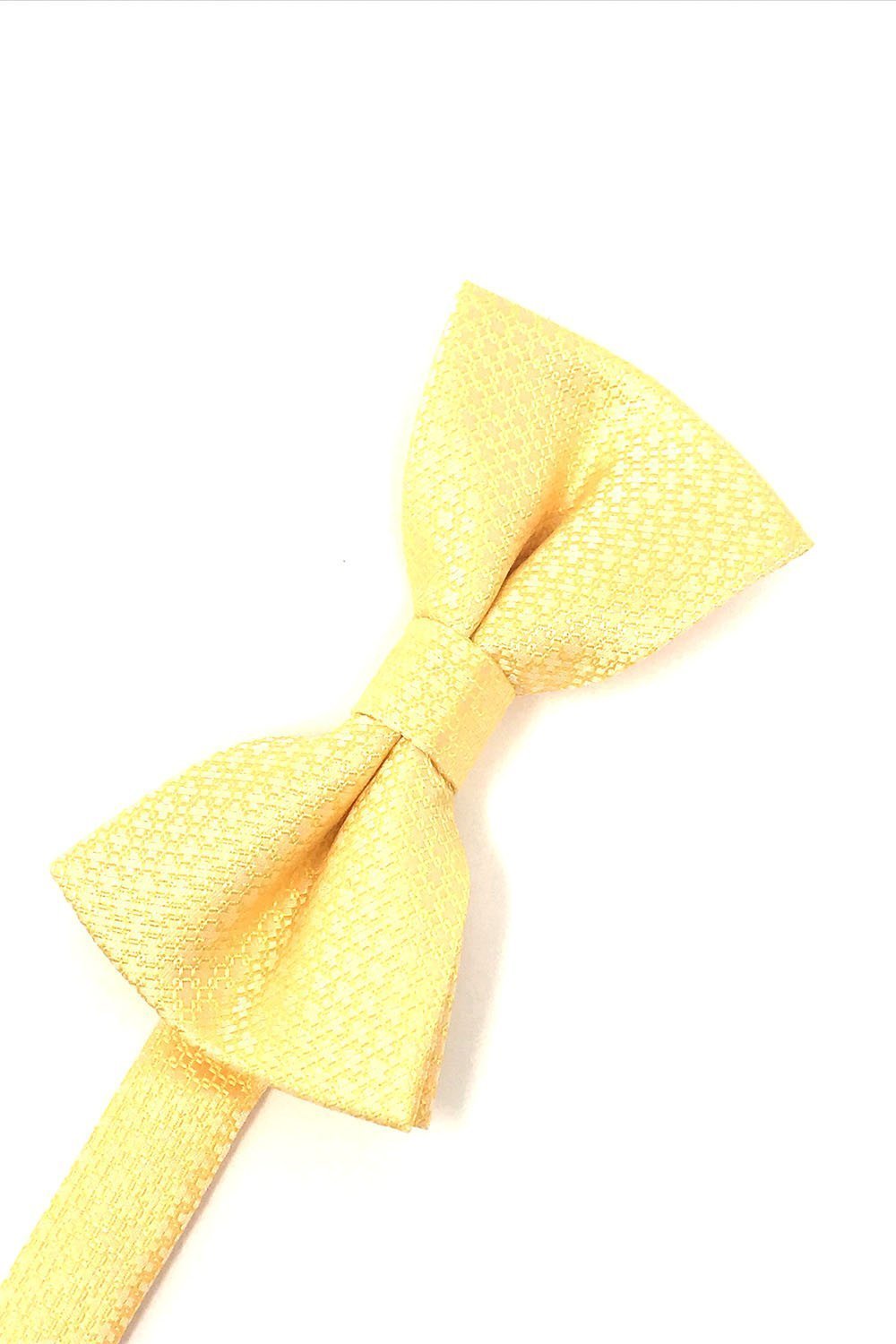 Regal Kids Bow Tie