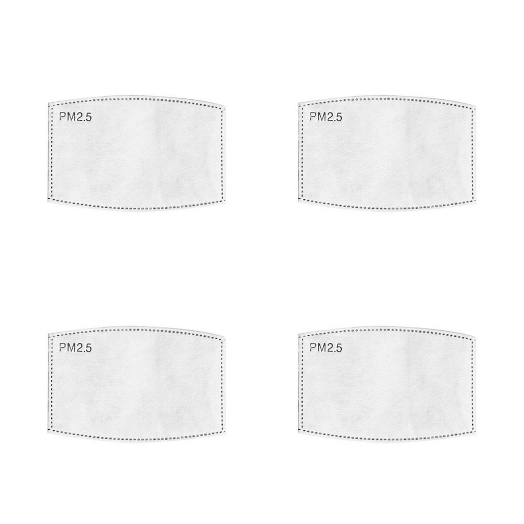 PM 2.5 Filter Inserts (Kids)