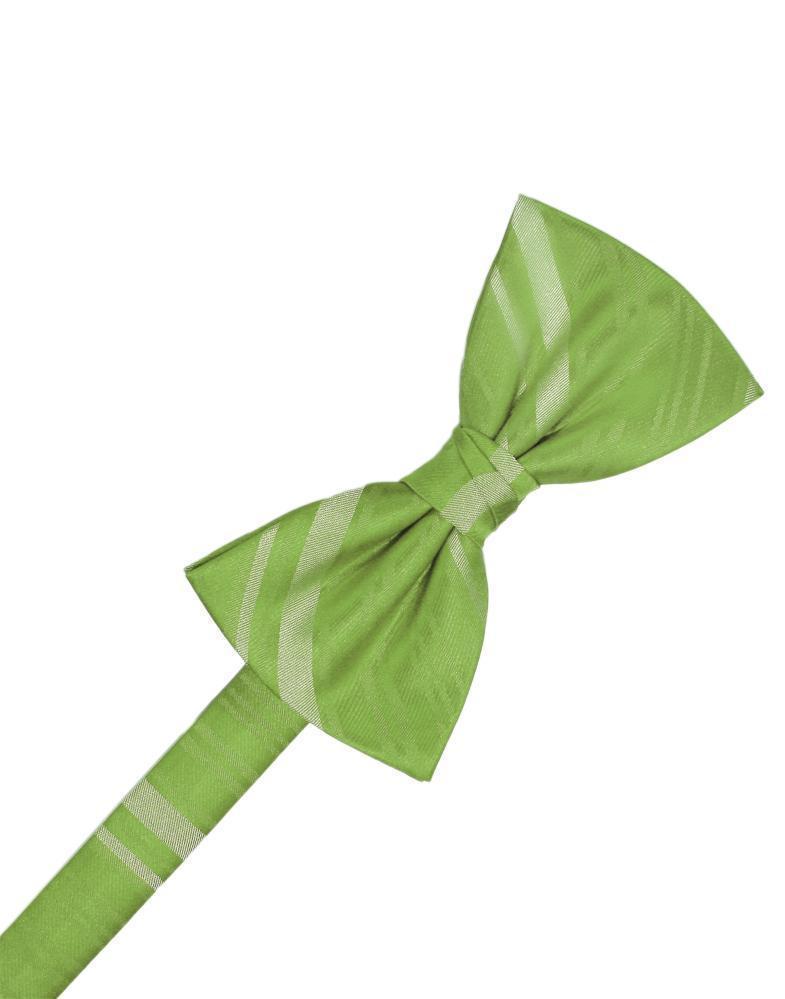 Striped Satin Kids Bow Tie